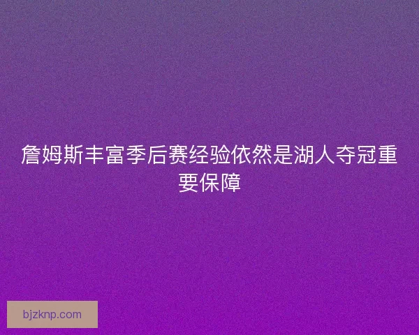 詹姆斯丰富季后赛经验依然是湖人夺冠重要保障